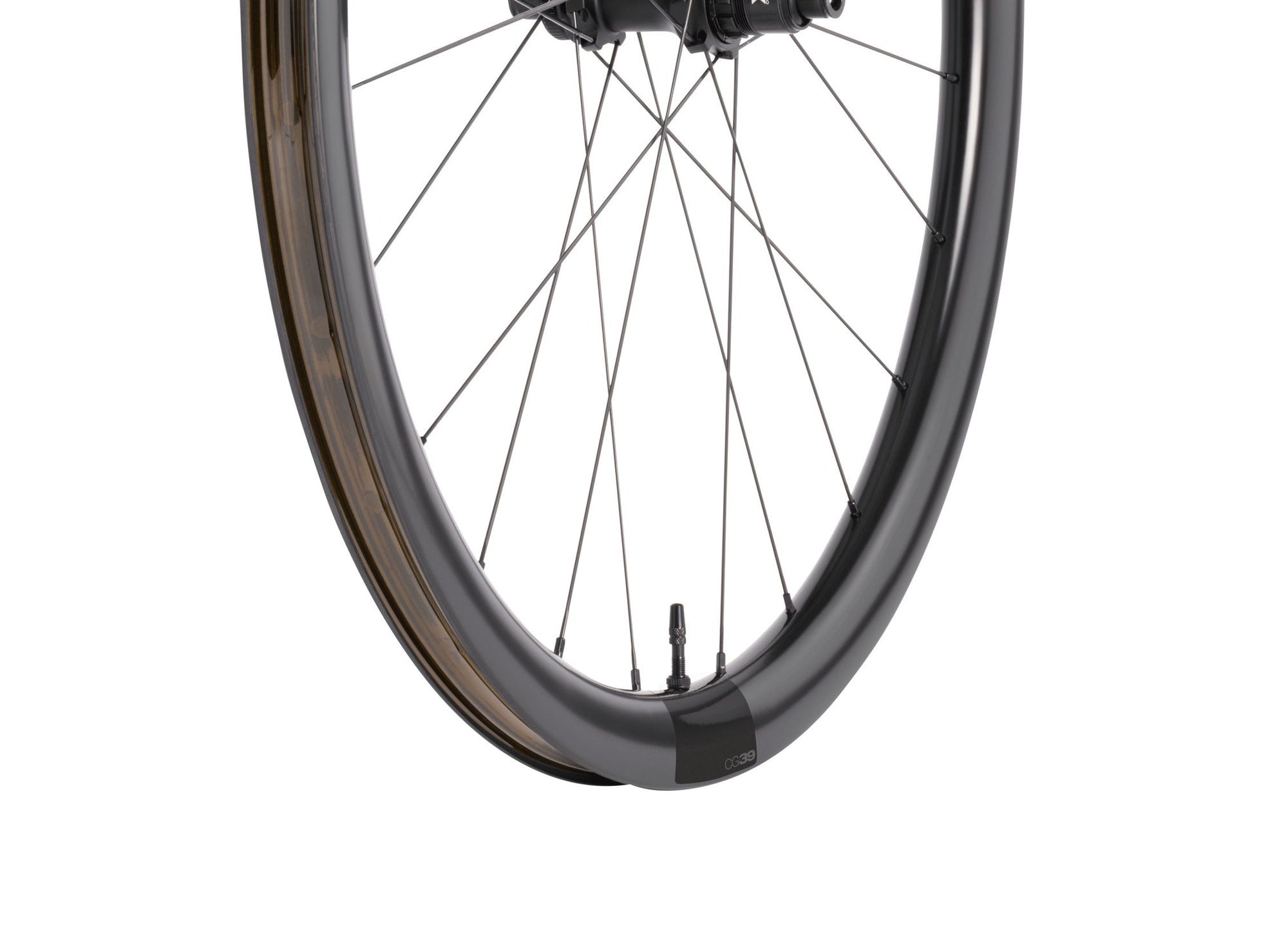CG 39 Rear Wheel